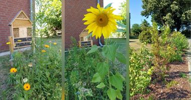 Blühstreifen und Insektenhotel